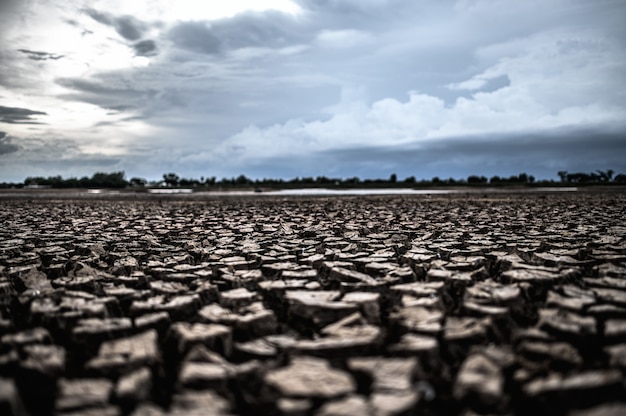 Dor land met droge en gebarsten grond