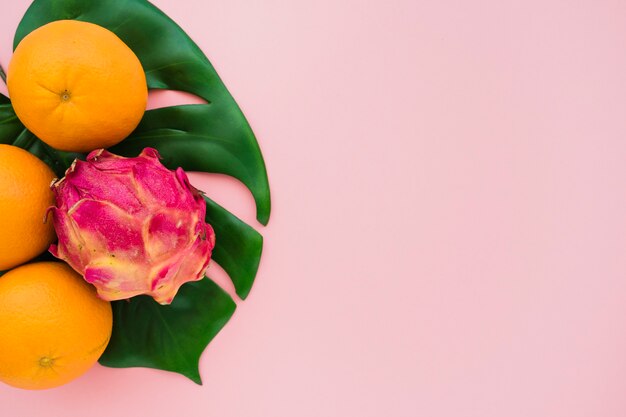 Dragon fruit en sinaasappelen op palmblad met lege ruimte