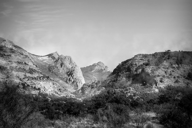 Gratis foto dramatisch zwart-wit landschap met heuvels