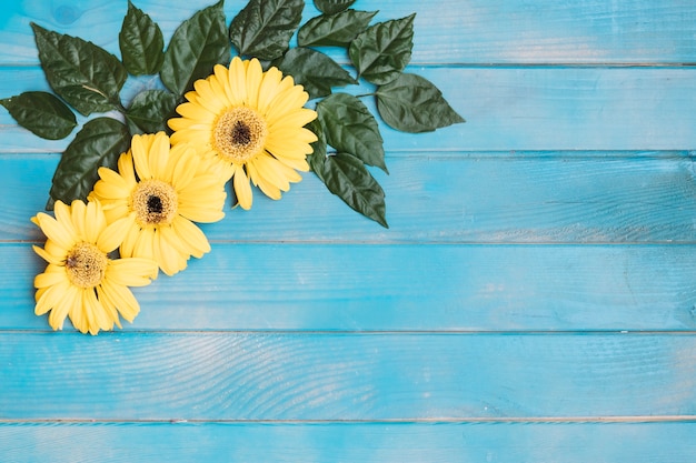 Gratis foto drie gele bloemen op tafel