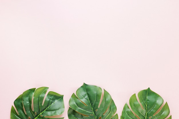 Drie groene palmbladeren op tafel