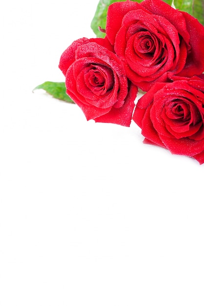 Drie rode rozen met lege ruimte