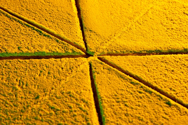 Driehoekige plakjes geel zand