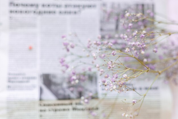 Droge bloemen op het oppervlak van de krant, selectieve aandacht, lentestemming
