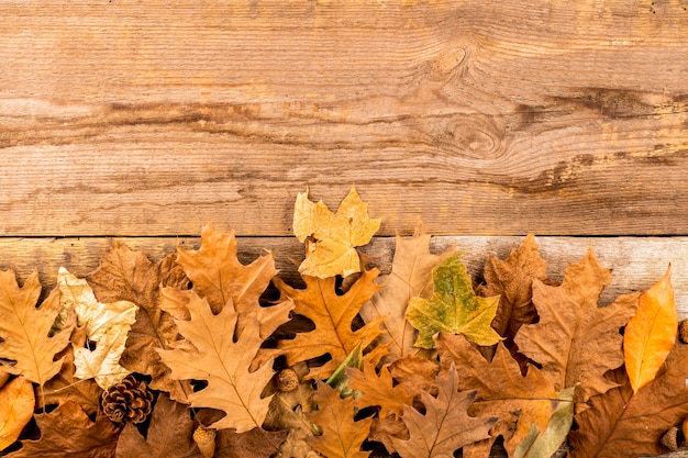 Droge de herfstbladeren op houten achtergrond