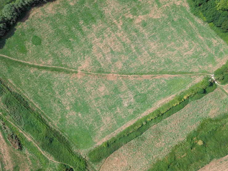 Gratis Foto drone-weergave van het landschap in de buurt van teddy bear woods, weymouth, dorset
