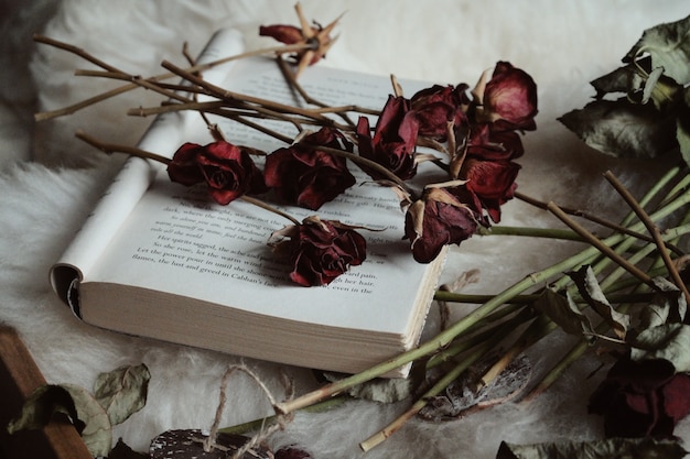 Droog rozen op een open boek op de tafel onder de lichten