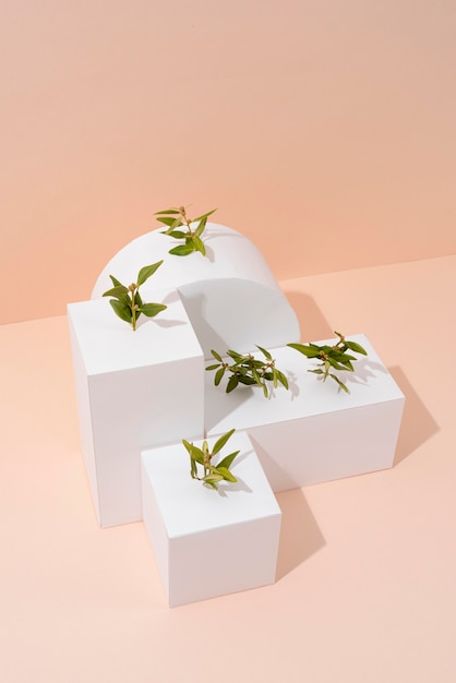 Gratis foto duurzaamheidsconcept met lege geometrische vormen en groeiende plant growing