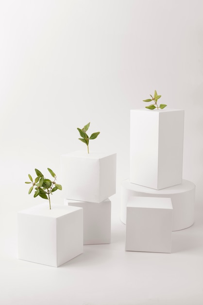 Duurzaamheidsconcept met planten die groeien uit blanco geometrische vormen