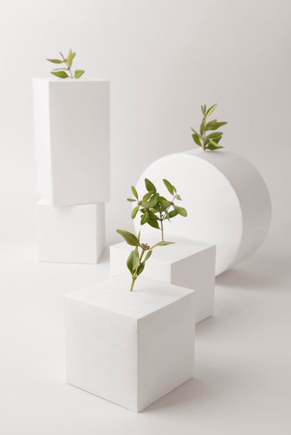 Duurzaamheidsconcept met planten die groeien uit blanco geometrische vormen