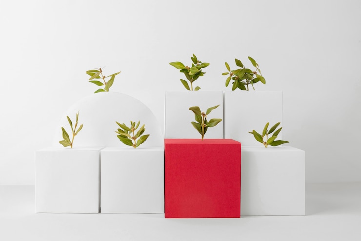 Gratis Foto duurzaamheidsconcept met planten die groeien uit geometrische vormen