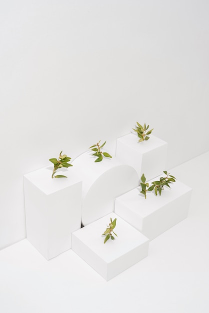 Gratis foto duurzaamheidsconcept met planten die groeien uit geometrische vormen