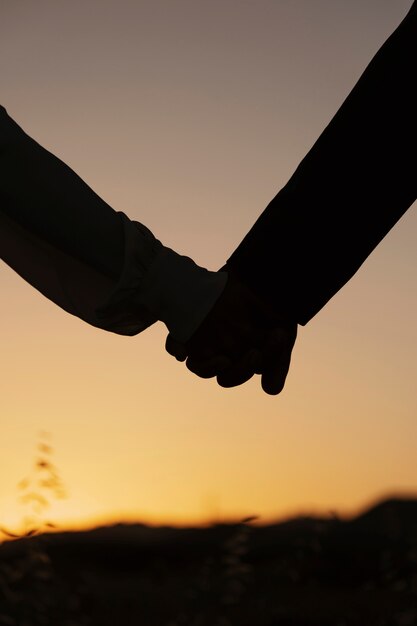 Echtpaar hand in hand silhouet