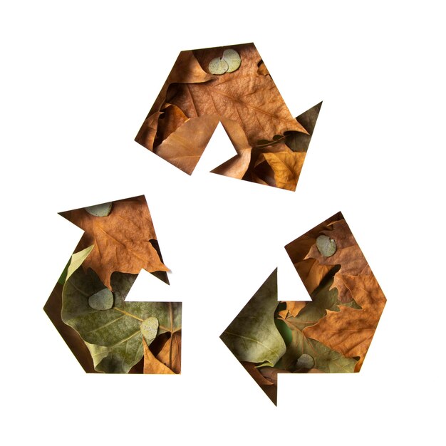 Eco-vriendelijk recyclingconcept