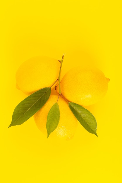 Een bovenaanzicht gele verse citroenen vers rijp met groene bladeren geïsoleerd op de gele achtergrond citrusvruchten kleur