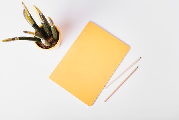 Een bovenaanzicht van kamerplant met blanco papier en twee potloden op witte achtergrond