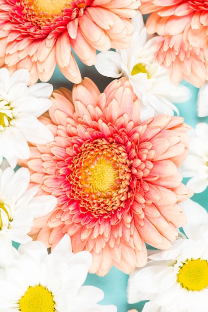 Een bovenaanzicht van roze en witte bloemen