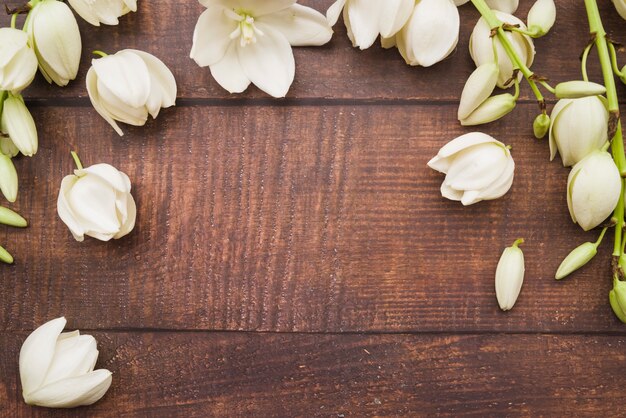 Een bovenaanzicht van verse witte bloemen op houten bureau