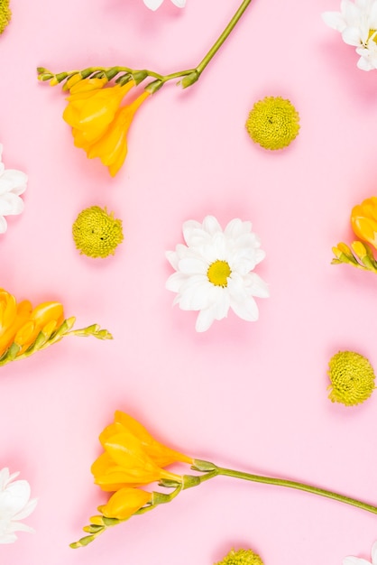 Een bovenaanzicht van witte en gele bloemen op roze achtergrond