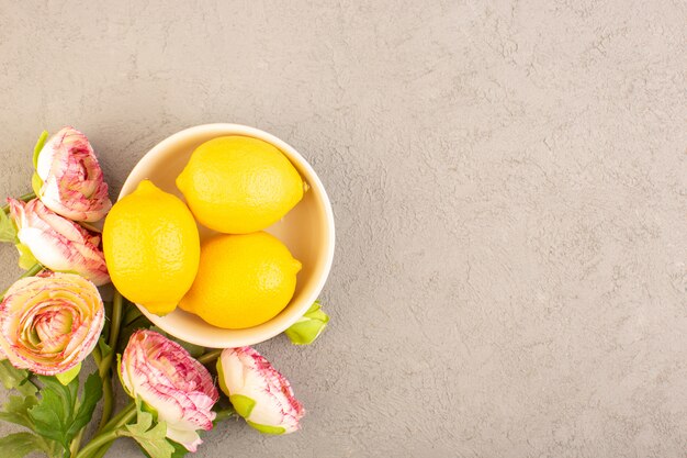 Een bovenaanzicht verse citroenen zure rijpe hele zachte citrus tropische vitamine geel samen met gedroogde bloemen op de crème bureau