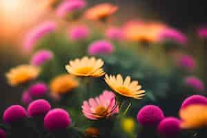 Gratis foto een close-up van bloemen met een roze achtergrond