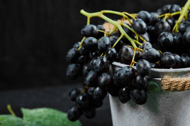 Een emmer met zwarte druiven met bladeren op een donkere achtergrond. Hoge kwaliteit foto