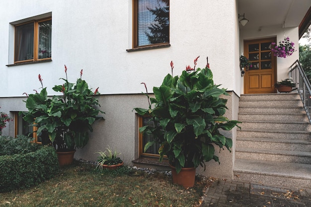 Een grote groene bloempot in de tuin van het huis