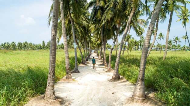 Een jonge man die in het midden van een zandweg met palmbomen aan beide kanten