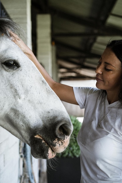 Een jonge vrouw en een paard, gevoelens, zorg, genegenheid, tederheid, een vrouw knuffelt en kust een paard. Close up van gelukkige jonge vrouw haar paard knuffelen.