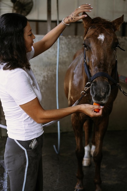 Een jonge vrouw voert wortelen aan een paard.