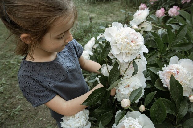 Een klein schattig meisje ruikt een struik met witte pioenrozen die in de tuin bloeien