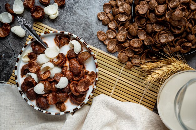 Een kom ontbijtgranen, granen met chocoladesmaak gemengd met melk als ontbijt.