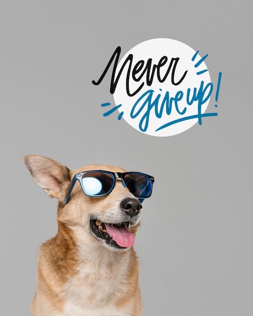 Een lachende hond met een zonnebril.