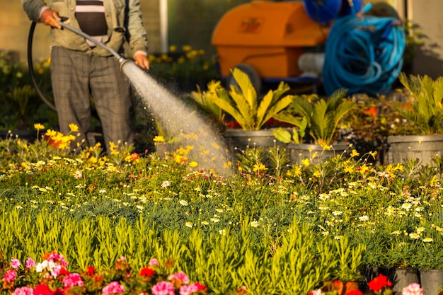 Een man die bloemzaailingen water geeft