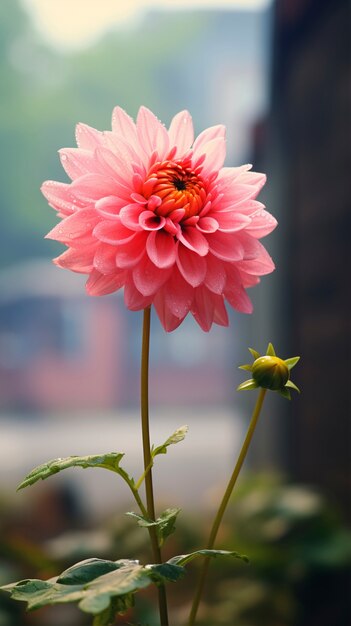 Een mooie bloem in de natuur.