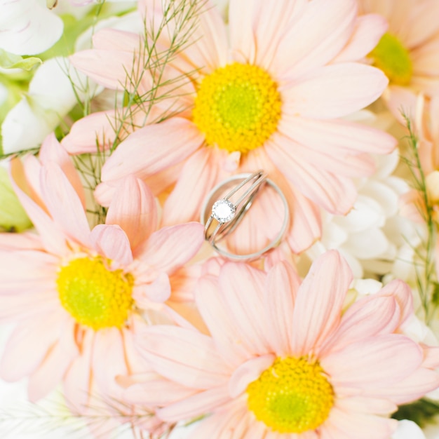 Een opgeheven mening van zilveren diamanten bruiloftringen op roze gerberabloem