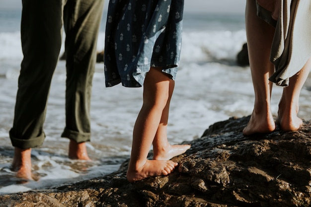 Een schot van mensenvoeten die op rotsen bij het strand lopen