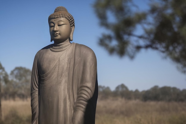 Een standbeeld van Boeddha zit in een veld met een boom op de achtergrond