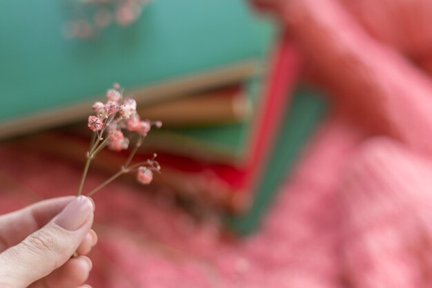 Een stapel rode en groene boeken met droge bloemen op een roze warme gebreide trui