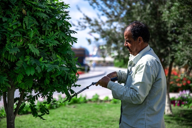 Een tuinman in de tuin snijdt de bladeren van bomen met een grote metalen schaar