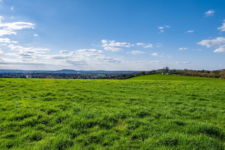 Gratis Foto een uitgestrekte groene vallei met een blauwe hemel overdag.