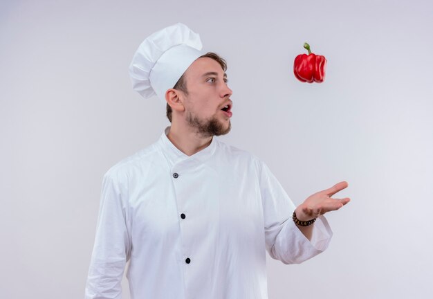 Een verbaasde jonge, bebaarde chef-kokmens die een wit fornuisuniform draagt en een hoed die rode paprika in de lucht op een witte muur gooit