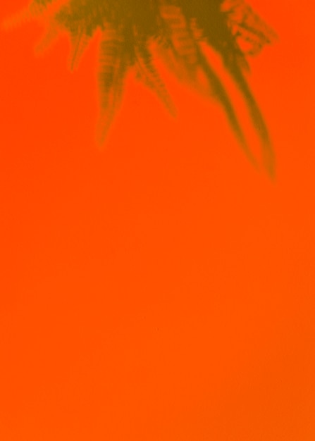 Een verhoogde weergave van groene varens laat op een fel oranje achtergrond
