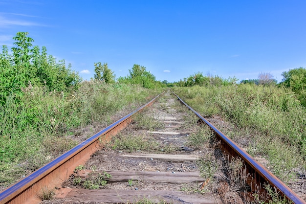 Een verlaten oude spoorlijn de rails waren verroest en overgroeid met gras