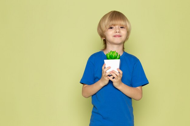 Een vooraanzicht blodne glimlachende jongen die in blauwe t-shirt weinig groene installatie op de steen gekleurde ruimte houdt