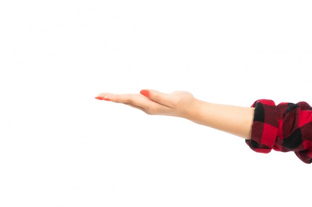 Een vooraanzicht vrouwelijke hand in zwart-rood geruit overhemd met open palm op de witte