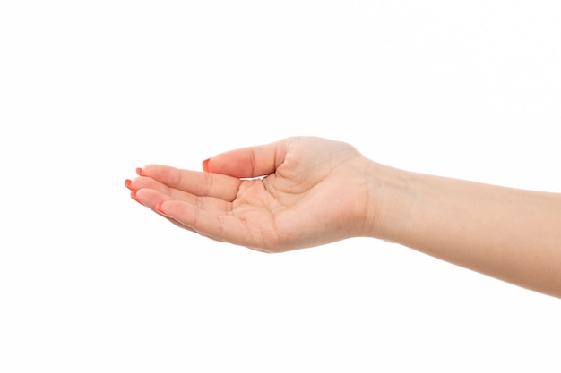 Gratis foto een vooraanzicht vrouwelijke hand met gekleurde nagels opgeheven hand op het wit