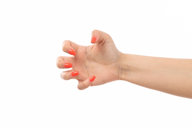 Een vooraanzicht vrouwelijke hand met gekleurde nagels poten op het wit