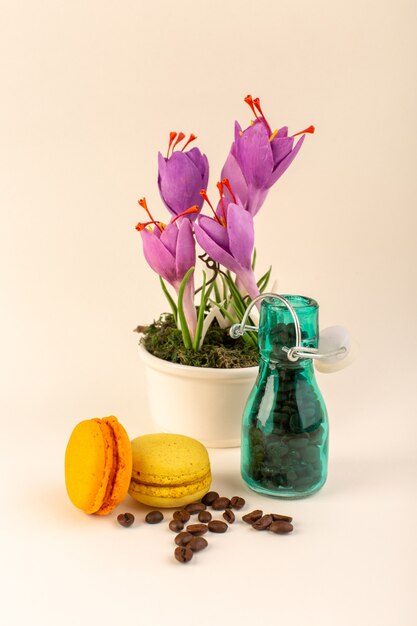 Een vooraanzichtkruik met koffie Franse macarons en paarse plant op het roze oppervlak