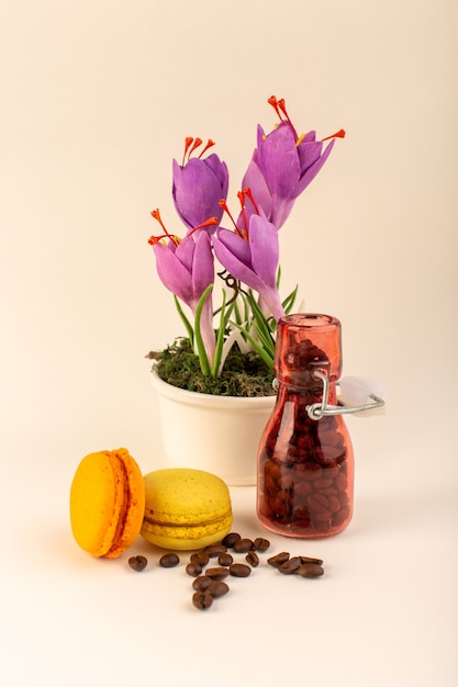 Een vooraanzichtkruik met koffie Franse macarons en paarse plant op het roze oppervlak